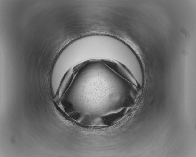 X0000110880009200907021506