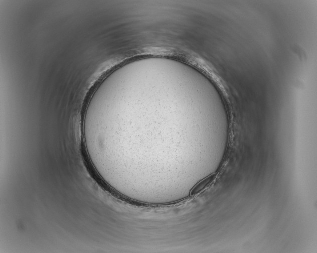 X0000110880011200907021506