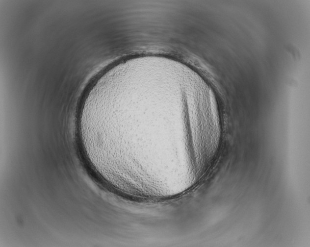 X0000110880012200907021506