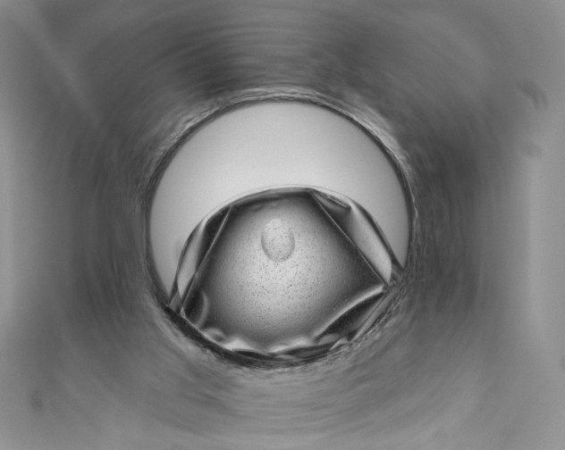X0000110880013200907021506
