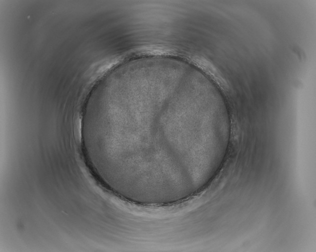 X0000110880014200907021506