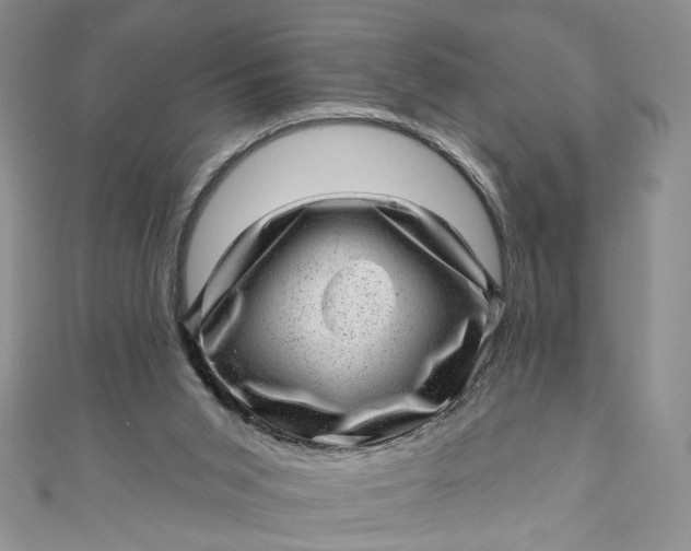 X0000110880015200907021506
