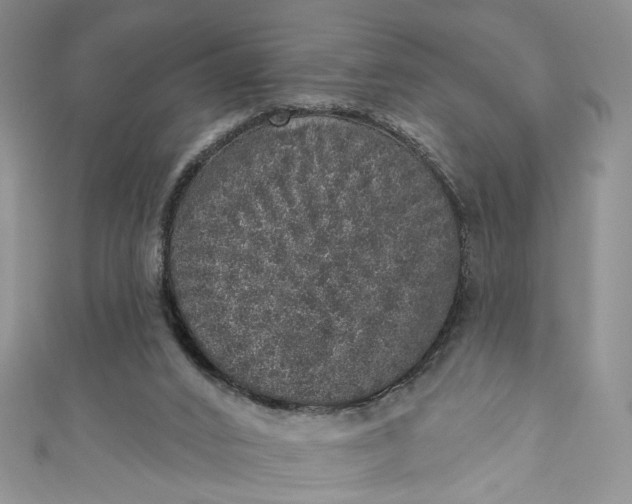 X0000110880016200907021506