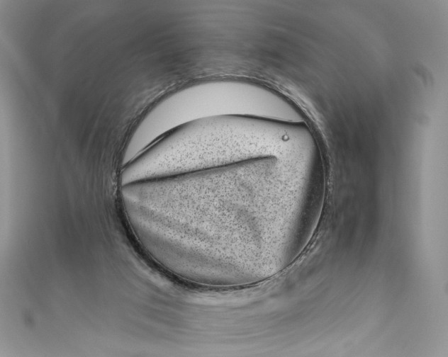 X0000110880017200907021506
