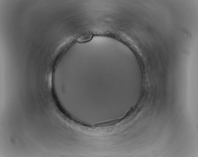 X0000110880019200907021506