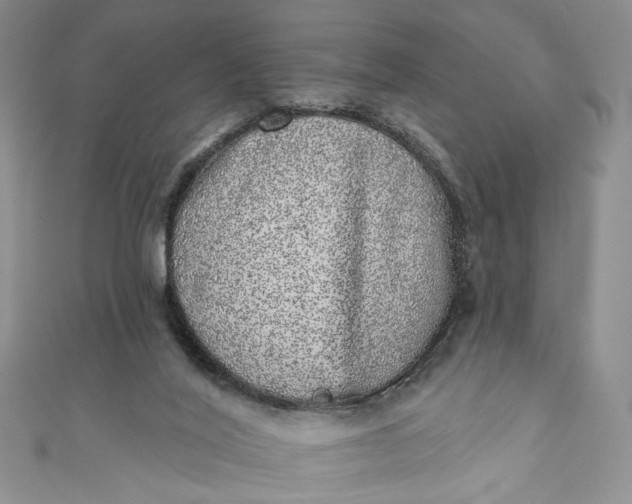 X0000110880020200907021506