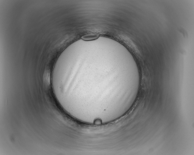 X0000110880021200907021506