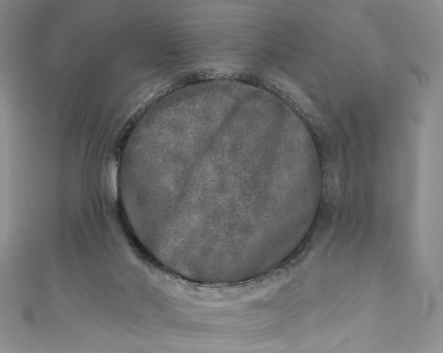 X0000110880022200907021506