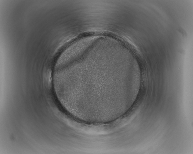 X0000110880024200907021506