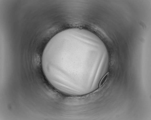 X0000110880025200907021506