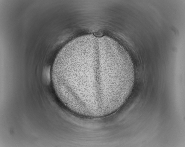 X0000110880028200907021506