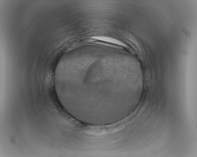 X0000110880029200907021506