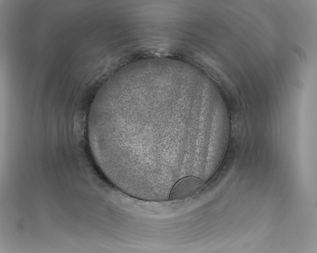 X0000110880030200907021506