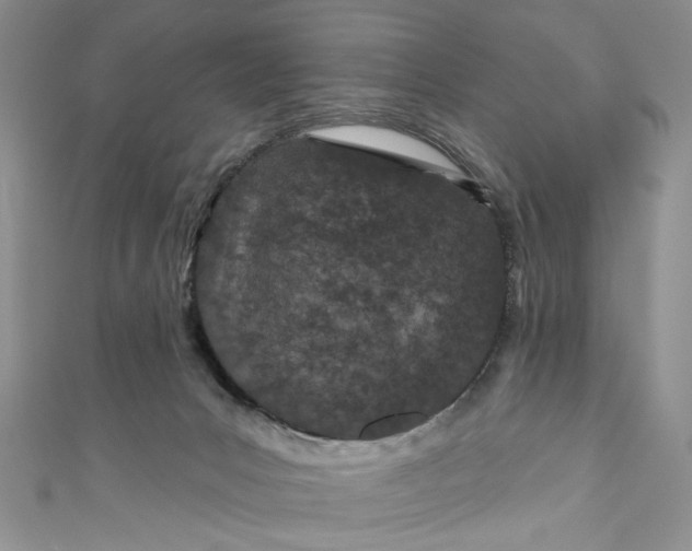 X0000110880031200907021506
