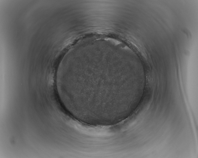 X0000110880032200907021506