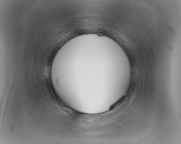 X0000110880033200907021506
