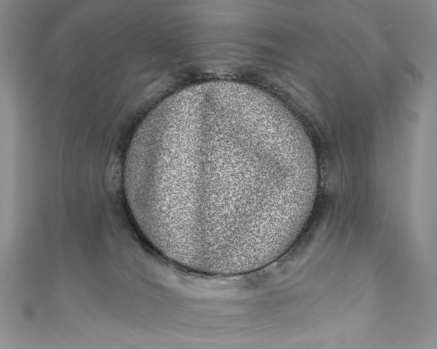 X0000110880036200907021506