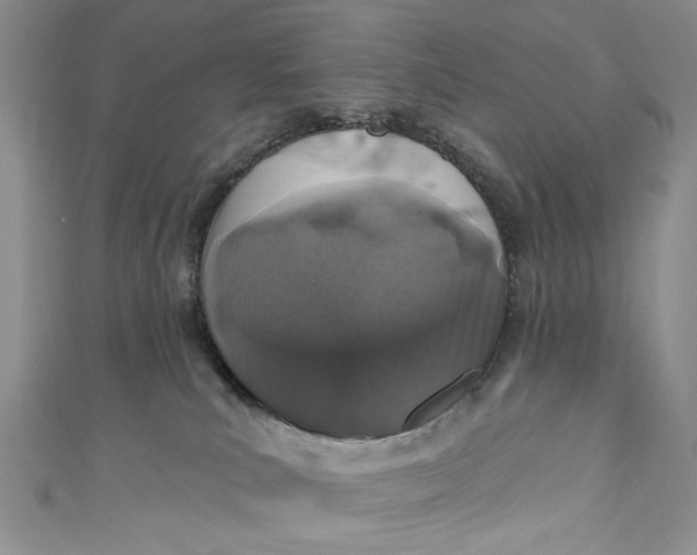 X0000110880039200907021506