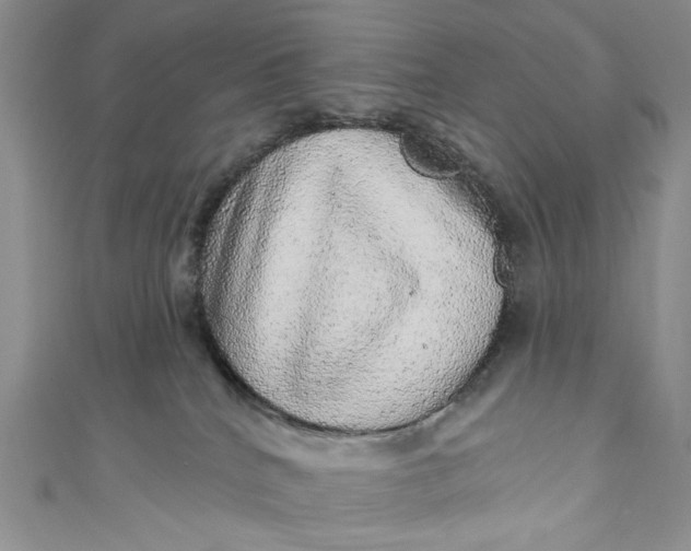 X0000110880040200907021506