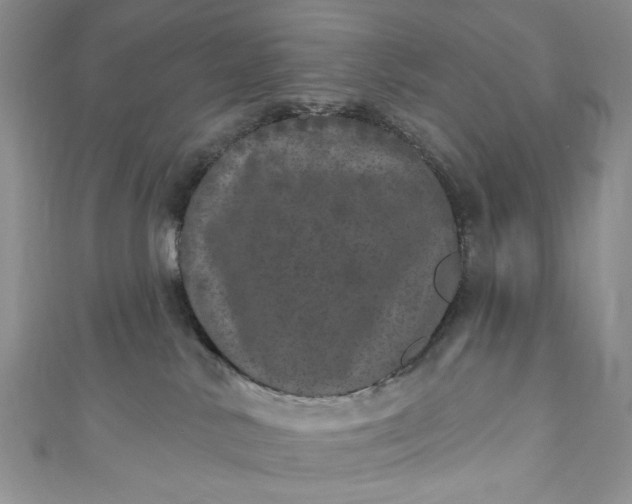 X0000110880042200907021506