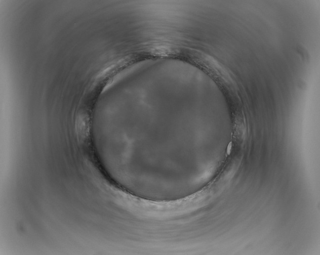 X0000110880043200907021506