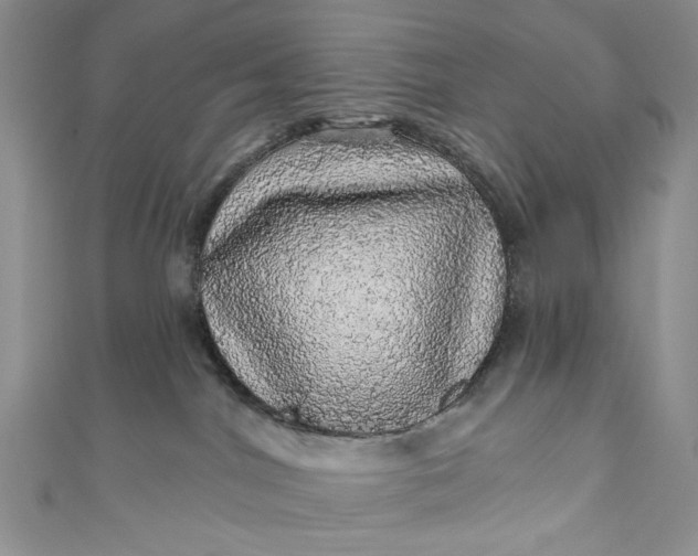 X0000110880044200907021506