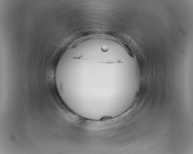 X0000110880045200907021506