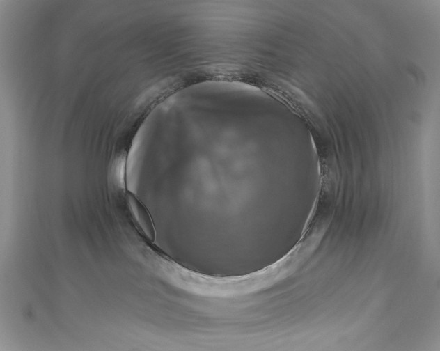 X0000110880047200907021506