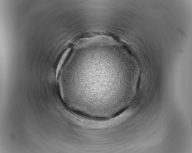 X0000110880048200907021506
