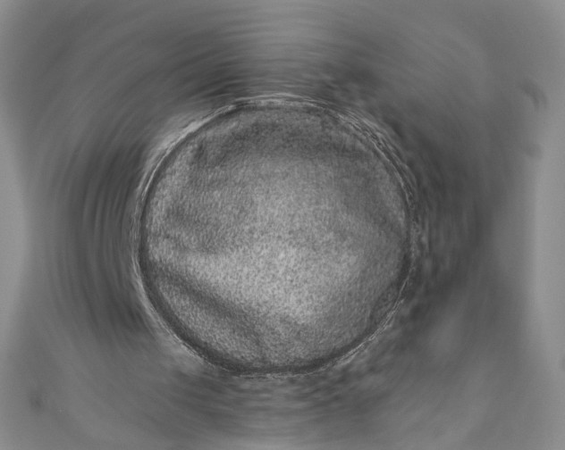 X0000110880049200907021505
