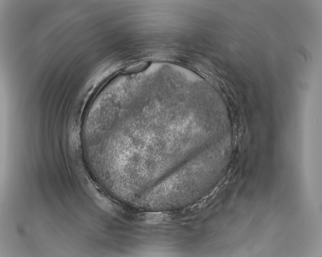 X0000110880050200907021505