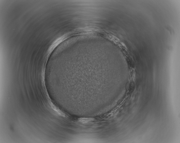 X0000110880051200907021505