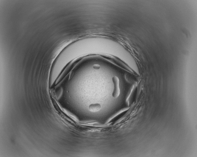 X0000110880052200907021505