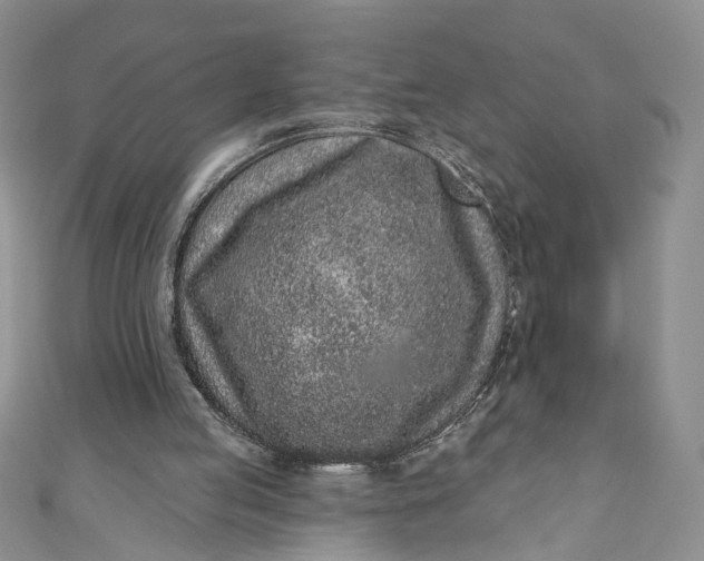 X0000110880053200907021505