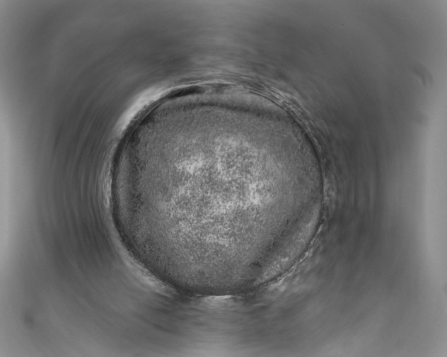 X0000110880054200907021505