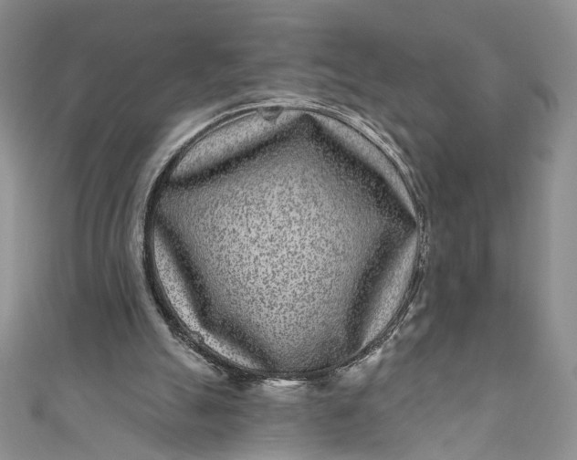 X0000110880055200907021505