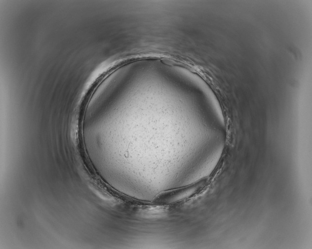 X0000110880056200907021505