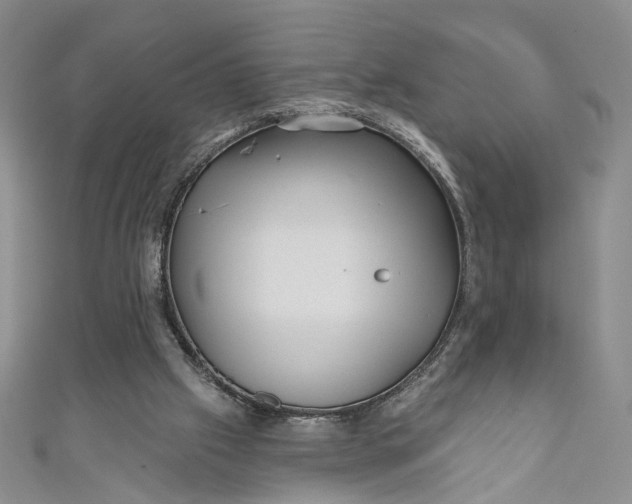 X0000110880057200907021505