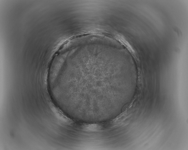 X0000110880058200907021505