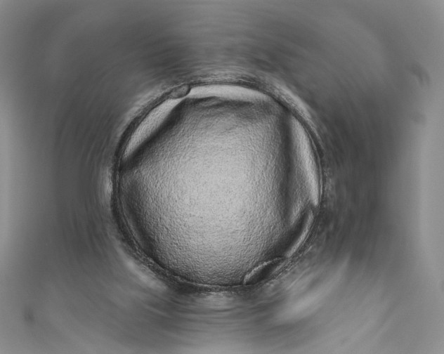 X0000110880059200907021505