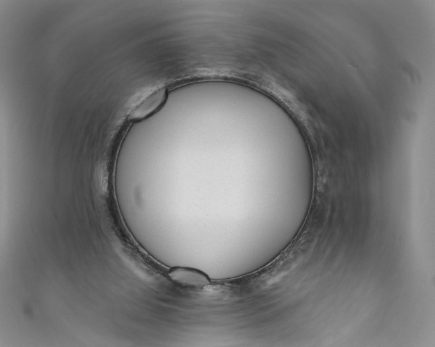 X0000110880060200907021505