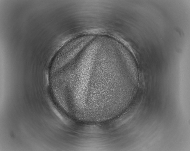 X0000110880061200907021505
