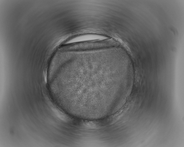 X0000110880062200907021505