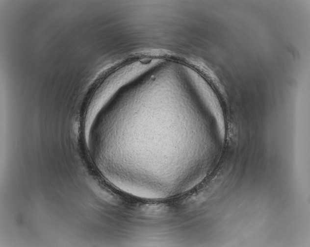 X0000110880063200907021505