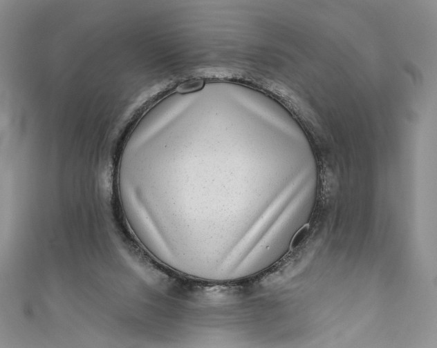 X0000110880064200907021505