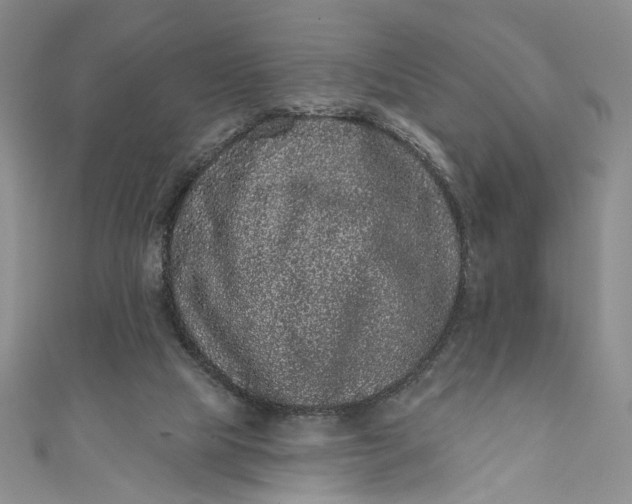 X0000110880065200907021505