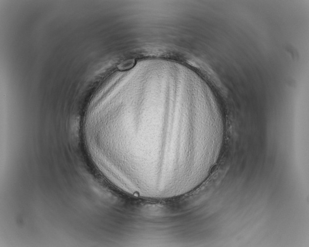X0000110880066200907021505