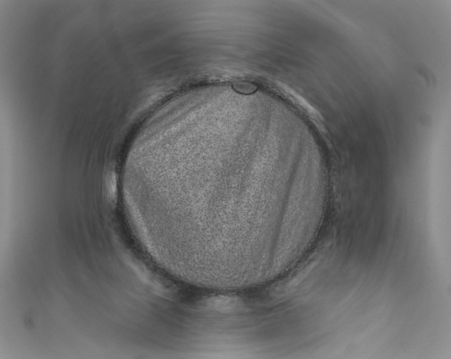 X0000110880067200907021505