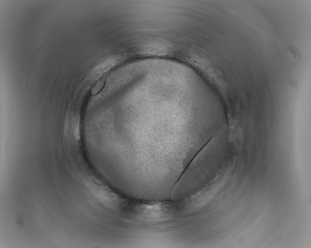 X0000110880068200907021505