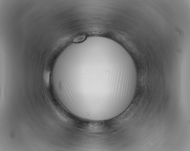 X0000110880070200907021505